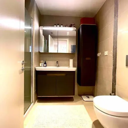 1+1 Luxury For Rent Apartment *